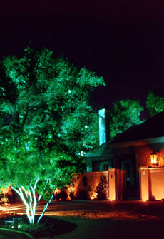 San Francisco Landscape Lighting