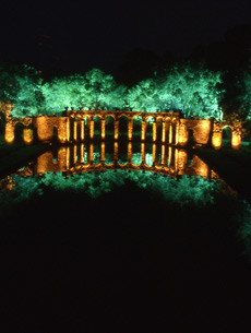 Texas Hill Country Landscape Lighting